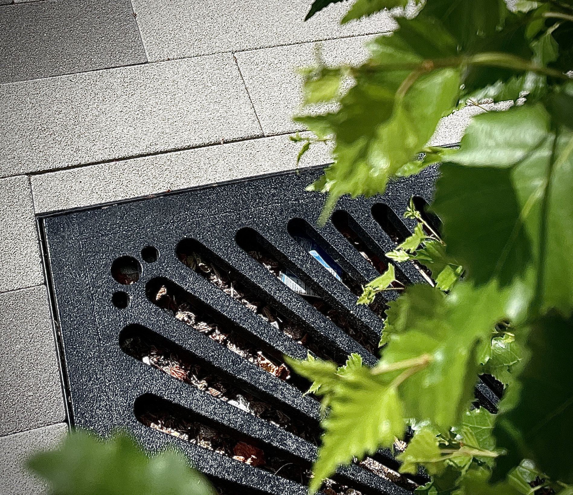 Coverdale cast iron grilles 